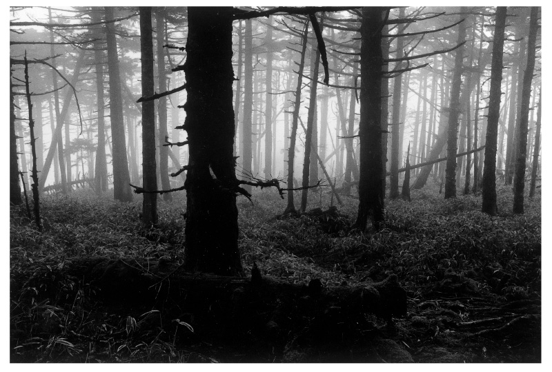 水越 武『真昼の星への旅』｜新潮社