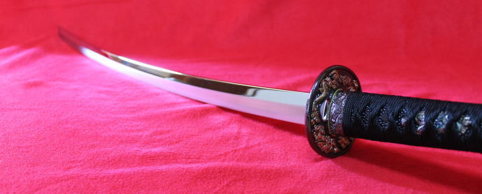 坂本龍馬の刀【陸奥守吉行 むつのかみよしゆき】