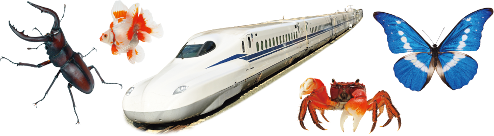 プレNEO | 小学館の図鑑NEOシリーズ | 小学館