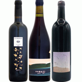 上幌ワイン・風[2022]10Rワイナリー (1本＋他2本)合計3本セット【日本