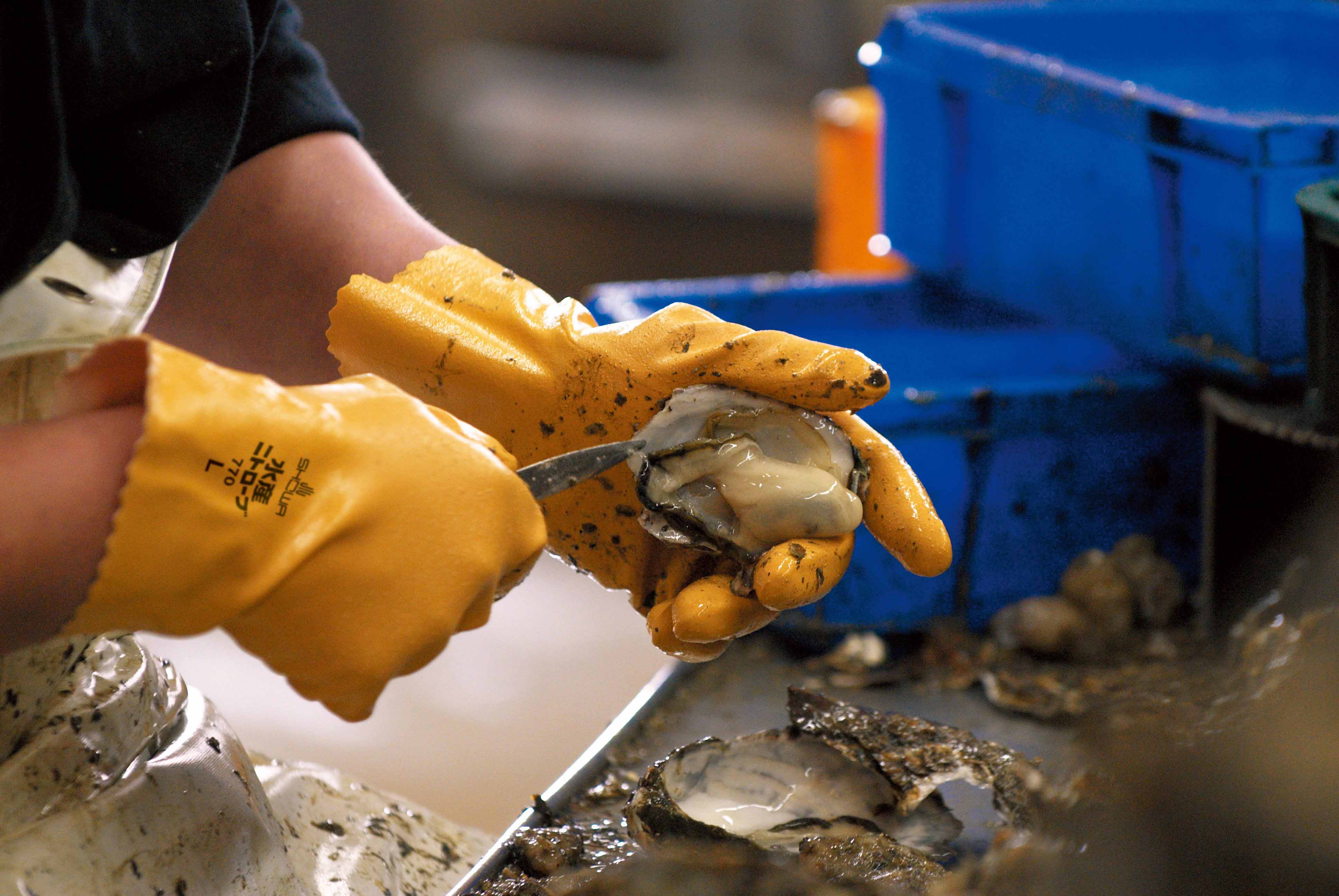 水産ニトローブ | SHOWA