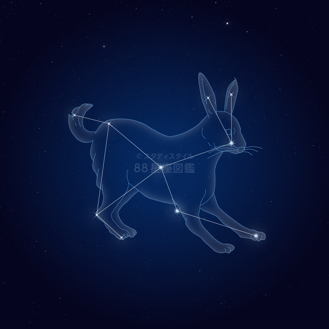 うさぎ座｜やさしい88星座図鑑