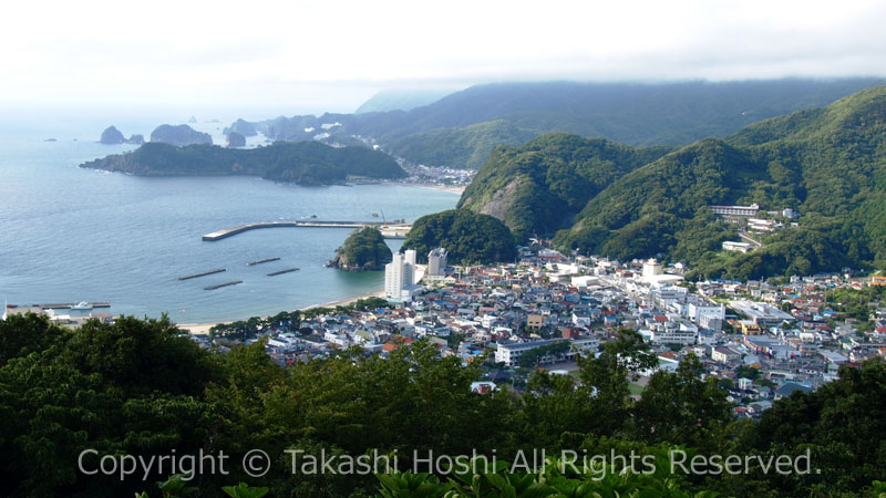 あじさいの丘 --- 松崎町観光ガイド『駿河湾☆百景』