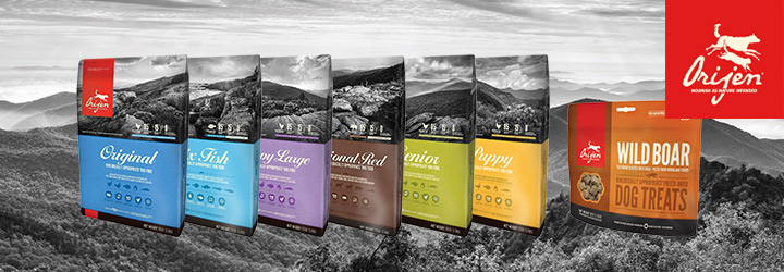 オリジン(Orijen)ドッグフードの給与量