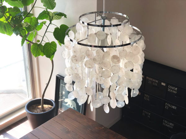 送料無料 SHELL シェルランプ 【HERMOSA】ハモサ 家具インテリア雑貨