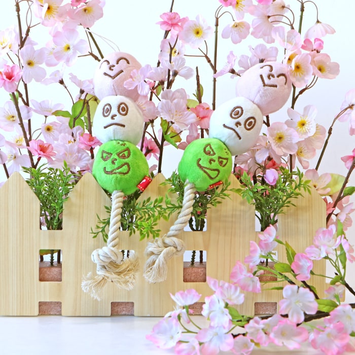 デンタルロープTOY PeePee 3色だんごポンポリース株式会社 直営ECサイト