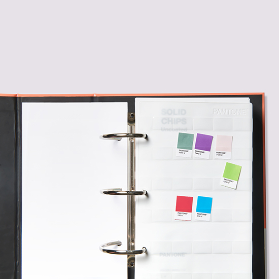 パントン・ソリッドチップス╱2冊組（コート紙、上質紙） Solid Chips