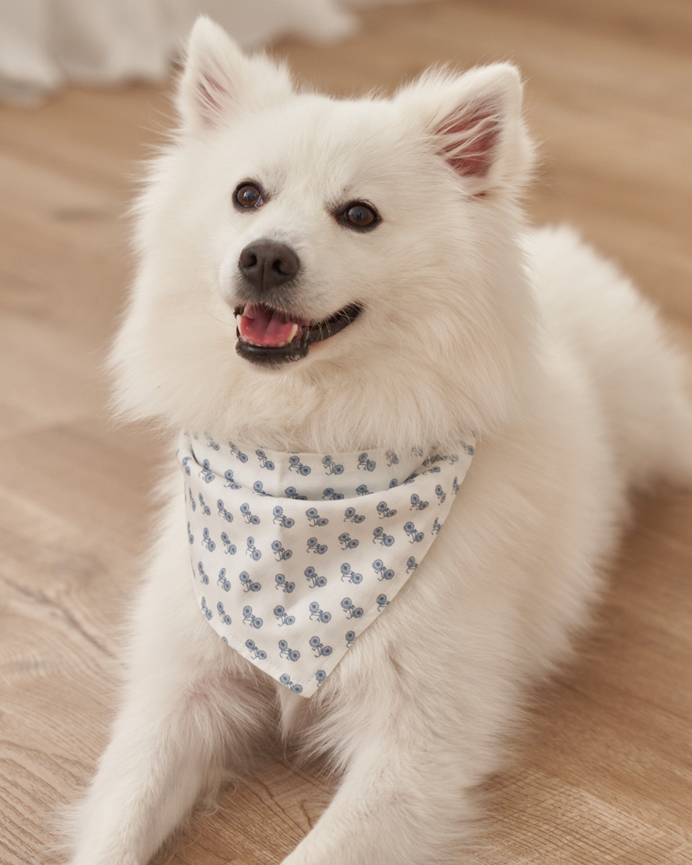 Green Gingham Dog Bandana | Petite Plume