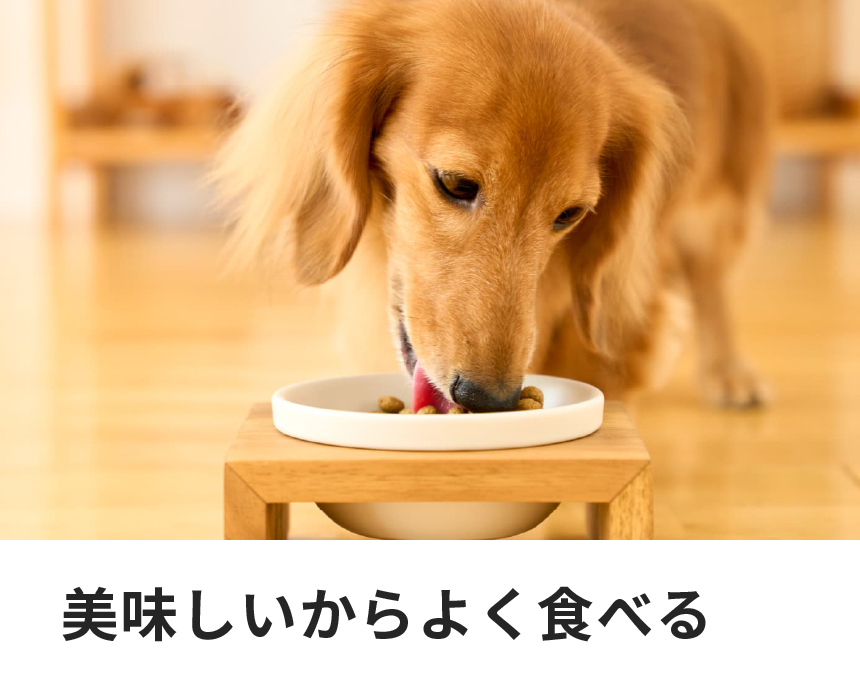 犬用ストマックケア｜Dr.'s（ドクターズ）| ペットライン