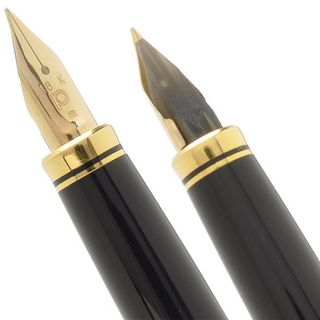 PLATINUM プラチナ万年筆 万年筆 金沢箔万年筆 PTL-20000H#24 金魚