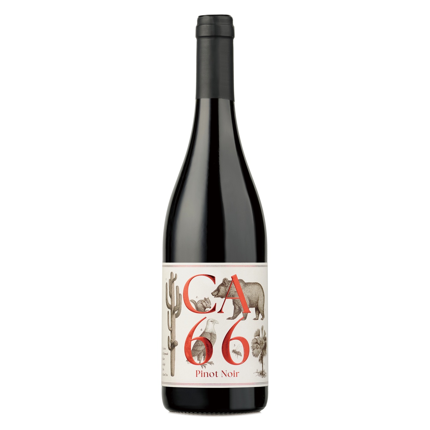 CA66 ピノ・ノワール (2023) | ピーロート・ジャパン ハイエンド・高級
