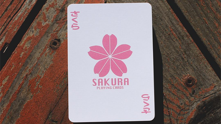 Sakura4.png