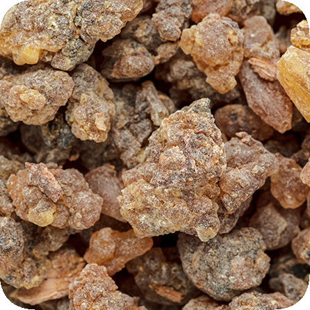 ベンゾイン（KENSO） – プラナロム エッセンシャルオイル・精油｜健草