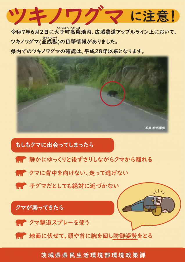 大子町高柴におけるツキノワグマの目撃情報について／茨城県
