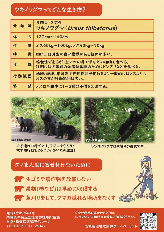 大子町高柴におけるツキノワグマの目撃情報について／茨城県