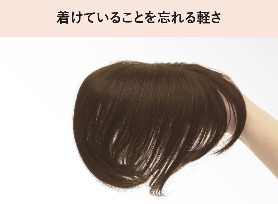 人毛100% 白髪隠しウィッグ｜ウィッグとエクステのプリシラ 公式通販サイト