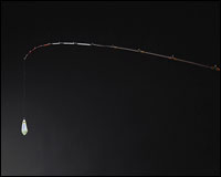 船/船釣り/船ロッド（ダイワ）/○2013○極鋭ゲームセンサー レッドチューン