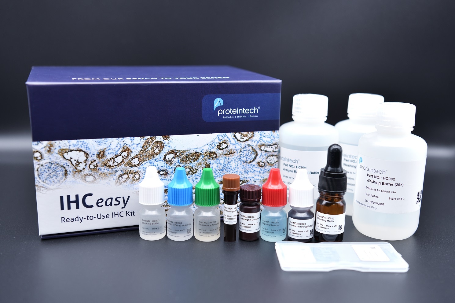 IHCeasy PARK7 Ready-To-Use IHC Kit KHC0557 | Proteintech