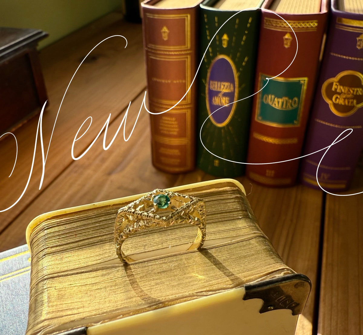 IMG_3273_1200x.jpg?v=1763738038