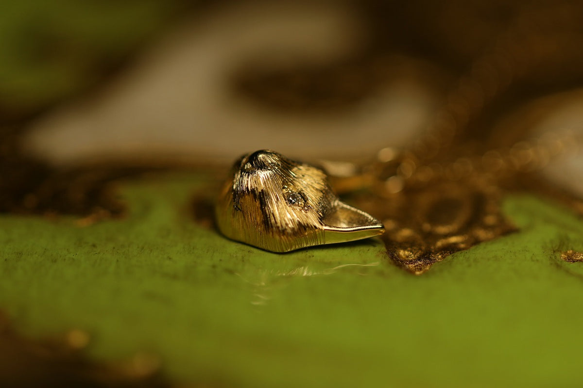 Gatto – quarantotto