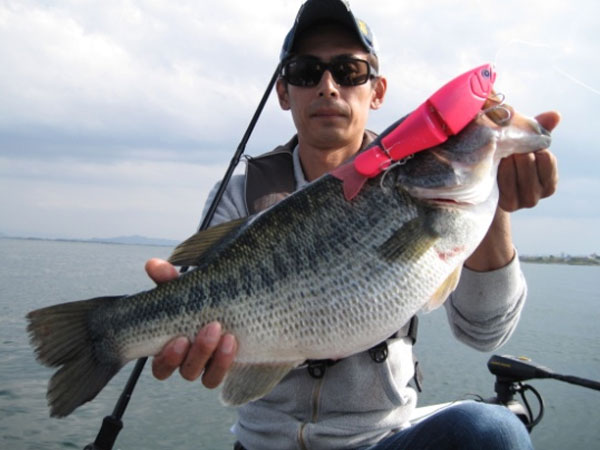 TRICK - RomanMade【ロマンメイド】