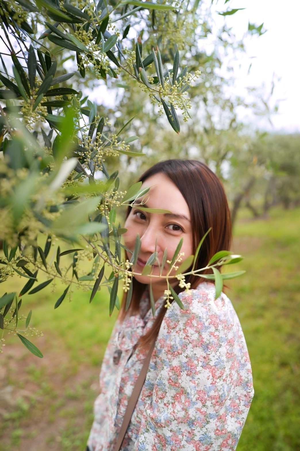 オリーブ農園さくファーム【公式ECサイト】