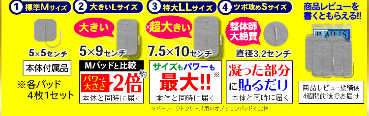 干渉波EMS機器パーフェクト4500が口コミでバカ売れ！