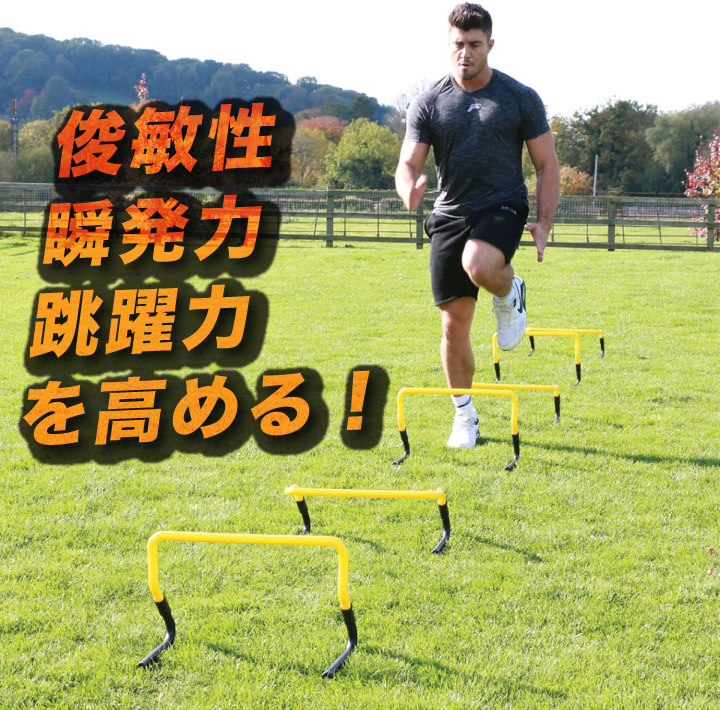 楽天市場】2way ミニハードル ミニ ハードル 2段式 23cm 30cm ジャンプ