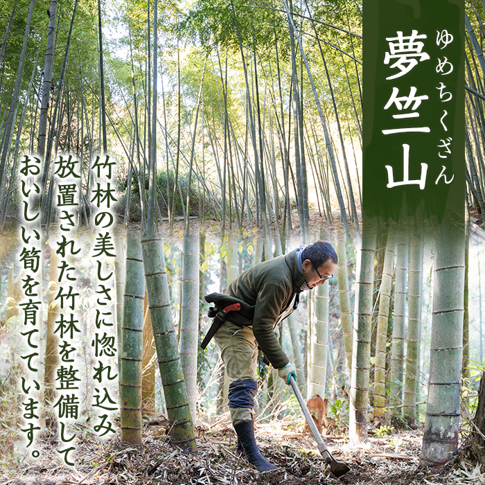 楽天市場】【ふるさと納税】＜期間限定！2025年12月下旬～2026年2月末