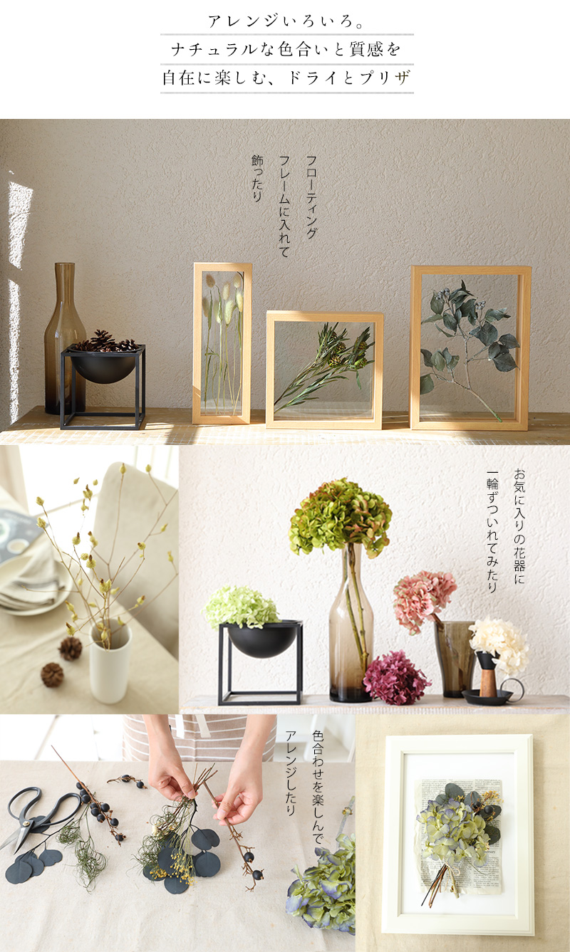 楽天市場】リペンスロゼッタN ドライフラワー ワイルドフラワー 花材
