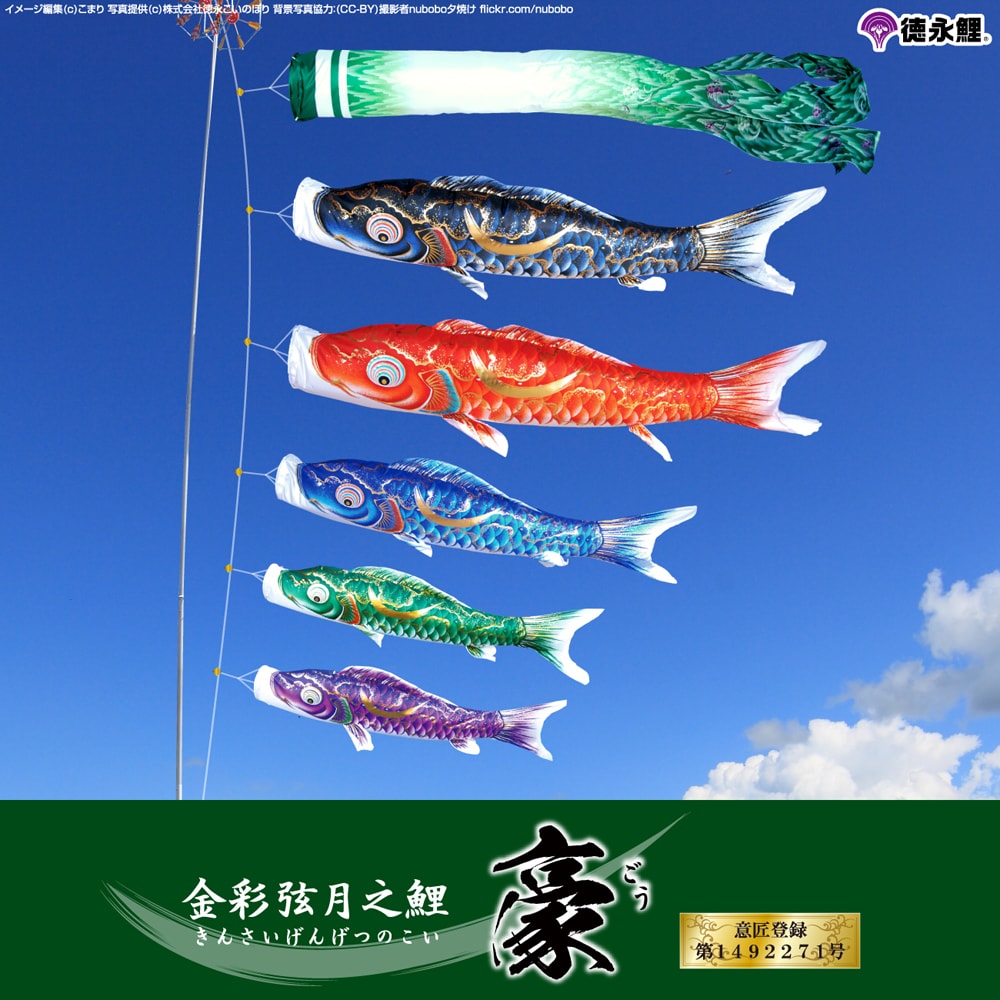 徳永こいのぼり 金彩弦月之鯉 豪 | 鯉のぼりの事なら節句専門店prefer