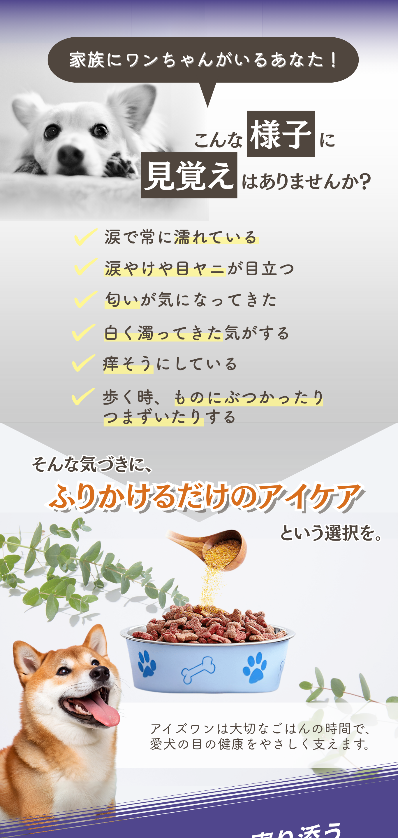 楽天市場】【スーパーセール特別価格！】犬 目 サプリメント サプリ