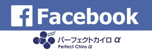 パーフェクトカイロα|キネシオテーピング、スラッキング療法のカイロ