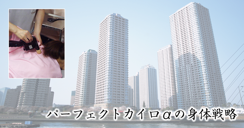 パーフェクトカイロα|キネシオテーピング、スラッキング療法のカイロ