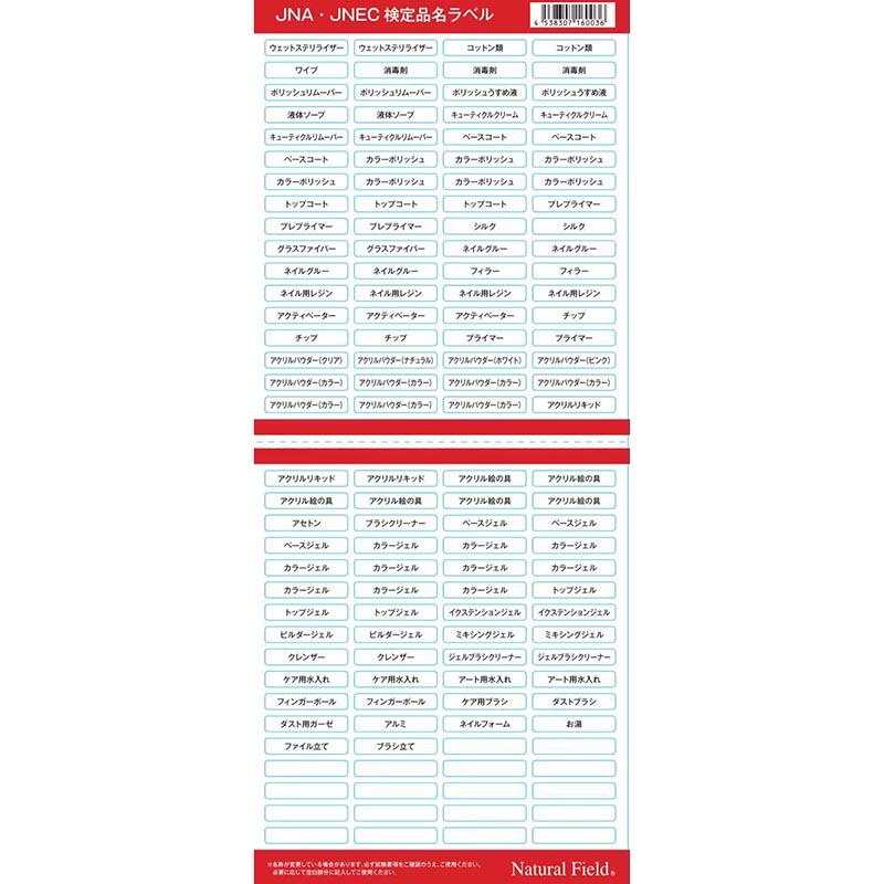 rednails web channel / STモデルハンド セット(JNEC 第1期認定モデル