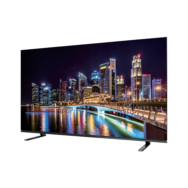 REGZA レグザ テレビ 65X8900L REGZA 65X8900N 有機ELテレビ65V型 レグザ X8900Nシリーズ 【DD