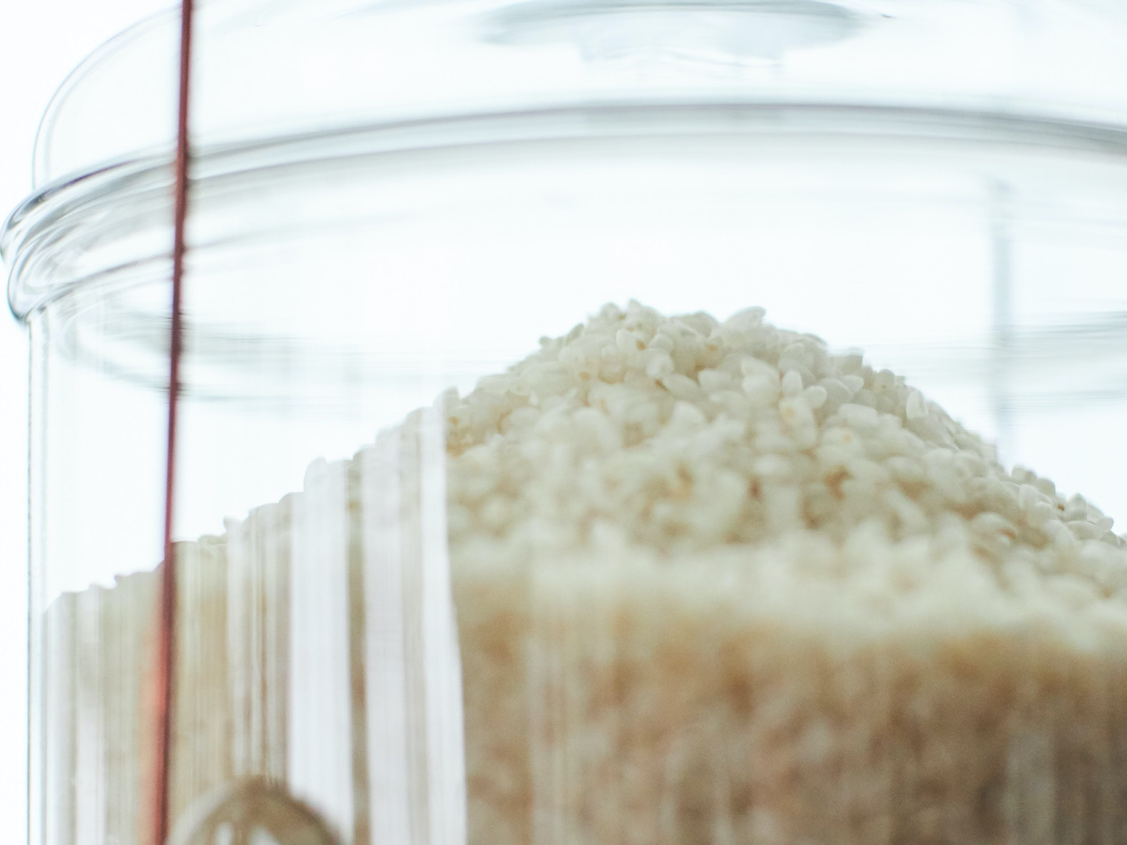 ピーター・アイビーが手がけるガラス米びつ | RiCE.press