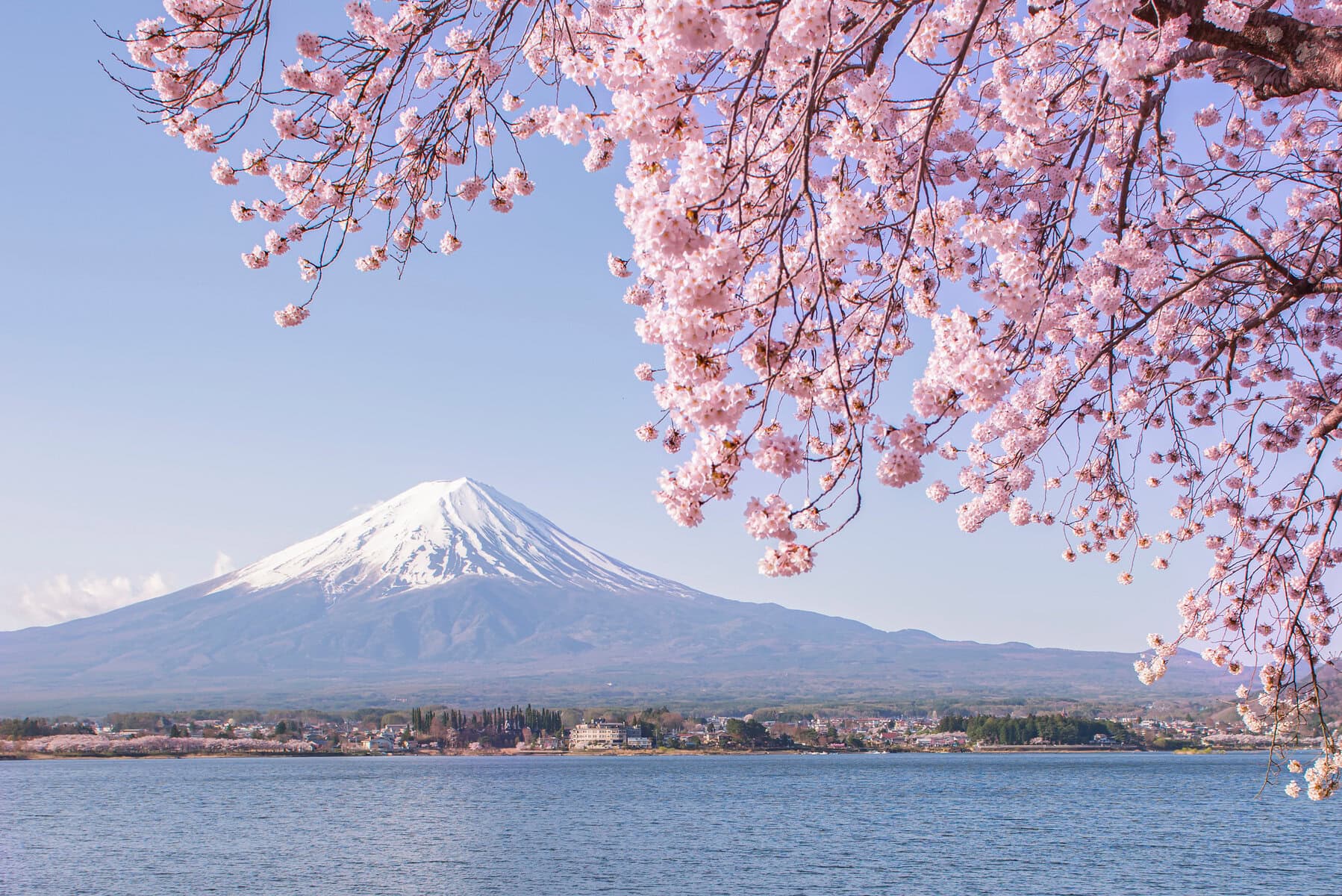 Japan: 10-day cultural tour › rsd-travel.co.uk