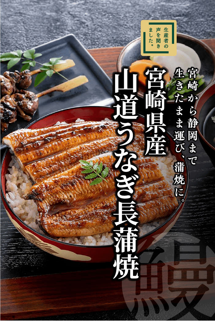 しずてつストアオンラインショップ / SS521 山道うなぎ長蒲焼 2尾