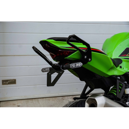 kawasaki-zx4-r-passenger-
