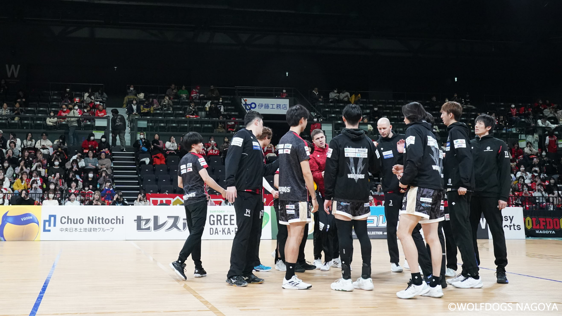 2023-24 V.LEAGUE 第32戦 vsJTサンダーズ広島 @豊田合成記念体育館