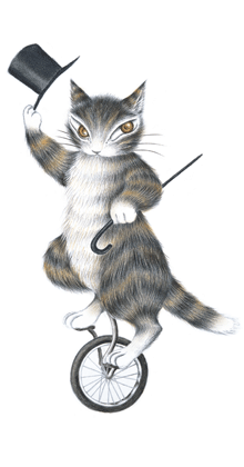 WachiField わちふぃーるどオフィシャル・ウェブサイト