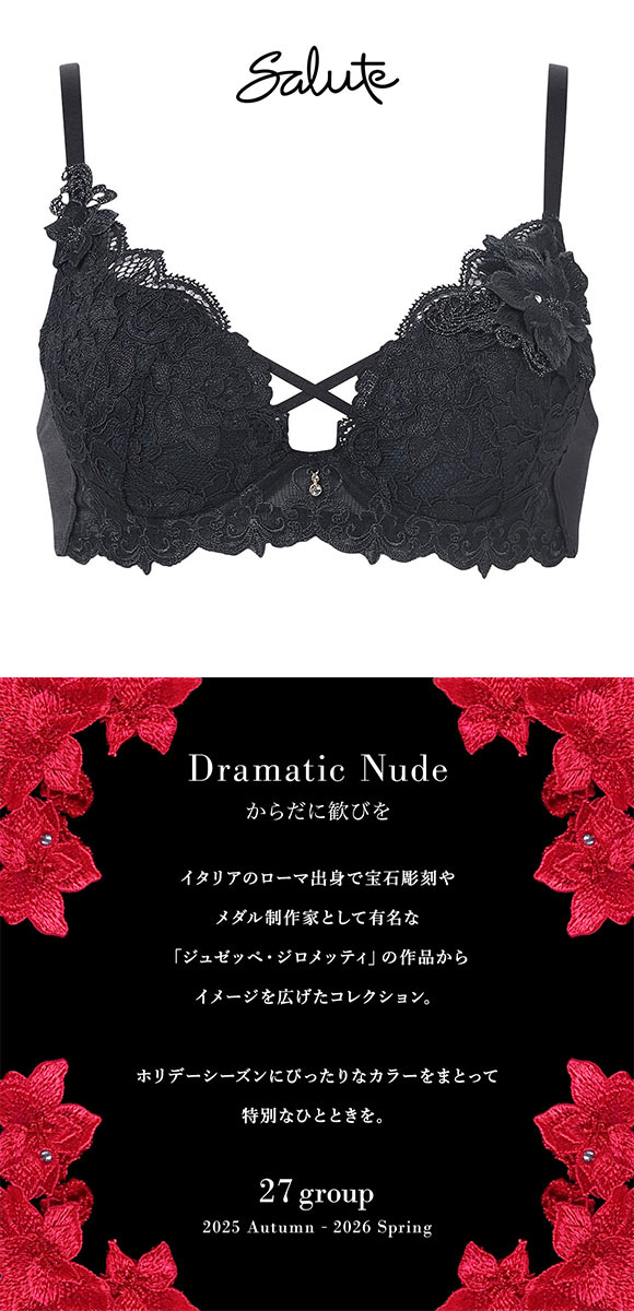 ワコール サルート 27グループ 27G VIVA LINE ブラジャー G ビバライン