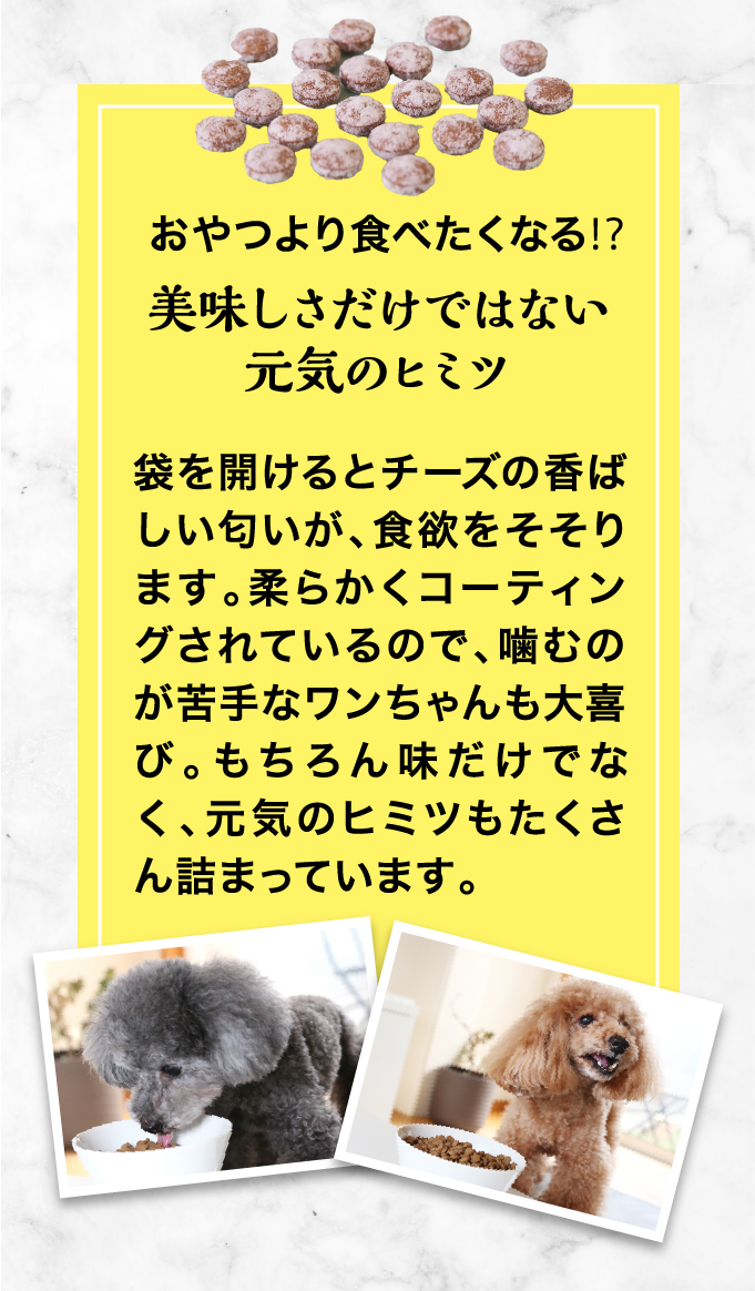 商品詳細ページ