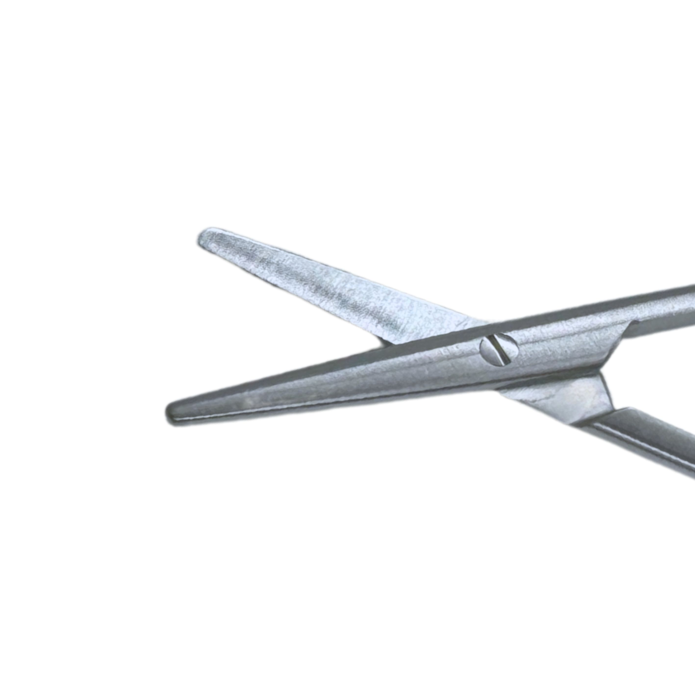 耳毛切りハサミ 2 - ワンクスオンラインショップ