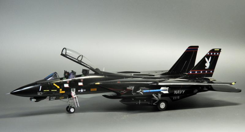F-14D VX-9 VANDY1 （タミヤ 1/48）＞ 特集 F-14 トムキャット＞2022年