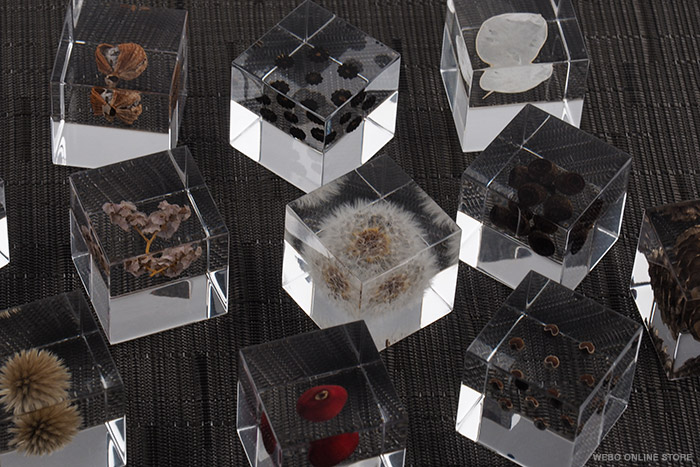 Sola Cube ソラキューブ 各種 / ウサギノネドコ ※プチギフト