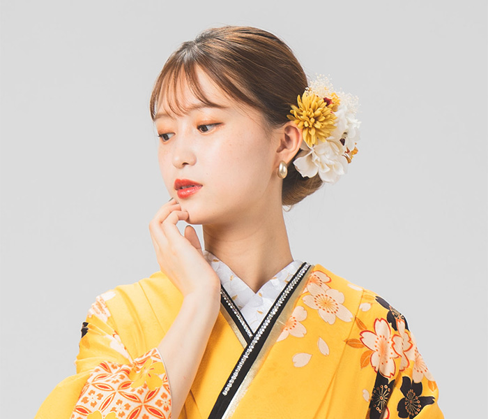 E618 - ふりそでMODE-成人式振袖レンタル