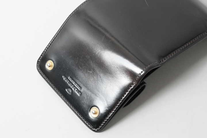 シェルコードバンSTELLAについてのお話 | WILDSWANS(ワイルドスワンズ