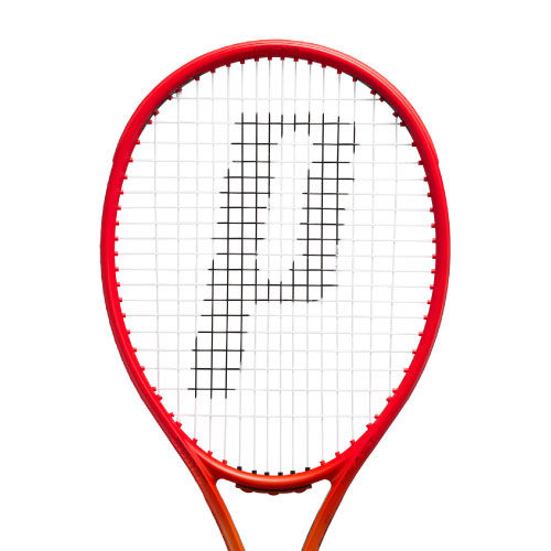 ウインザーオンラインショッププリンス ビースト 100 300g（prince